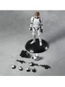 Compra Blokees: Champion Class Star Wars – Luke Stormtrooper (75804) d