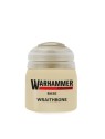 Compra Warhammer Colour: Base Nocturne Green (21-43) de Games Workshop