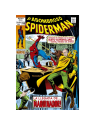 El Asombroso Spiderman 18