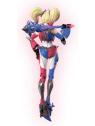 Blokees: DC Champion Class 04 Harley Queen (75674)