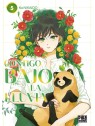 Contigo Bajo la Lluvia 05 - Manga Seinen