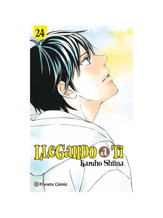Llegando a ti 24