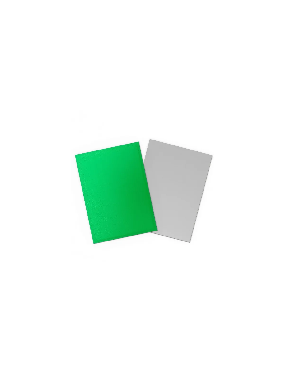 Dragon Shield: Standard Dual Matte Apple Green & Silver (100)