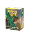 Dragon Shield: Standard Dual Matte Power & Copper (100)