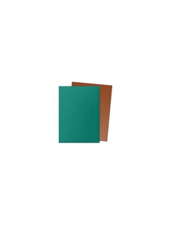 Dragon Shield: Standard Dual Matte Power & Copper (100)