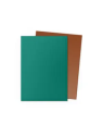Dragon Shield: Standard Dual Matte Power & Copper (100)
