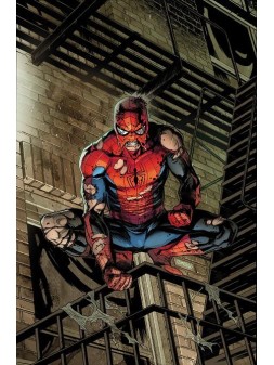 Colección de Cómics Americano - La Cueva Roja