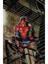 El Asombroso Spiderman 11 - Panini Marvel