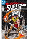 Biblioteca Superman 17 - Panini Comics