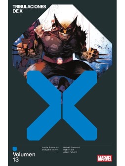 Absolute Batman 17 - Panini Comics
