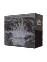 Pokemon TCG: ETB Caja de Entrenador Elite Pokemon Oscuridad Absoluta (ES)