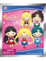 Sailor Moon Imán Blind pack Series 1 (1)
