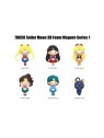 Sailor Moon Imán Blind pack Series 1 (1)