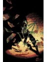 Absolute Green Arrow 01 - Panini Comics