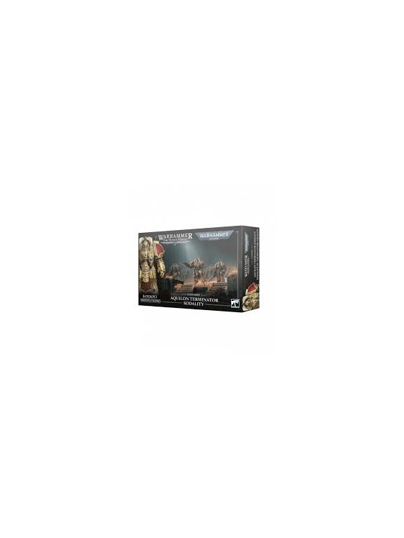 Warhammer 40000 The Horus Heresy: Adeptus Custodes - Sodalidad de Exterminadores Aquilon (77-12)