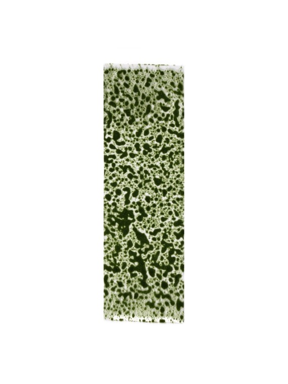Musgo Verde Oscuro Realista (AK8131)