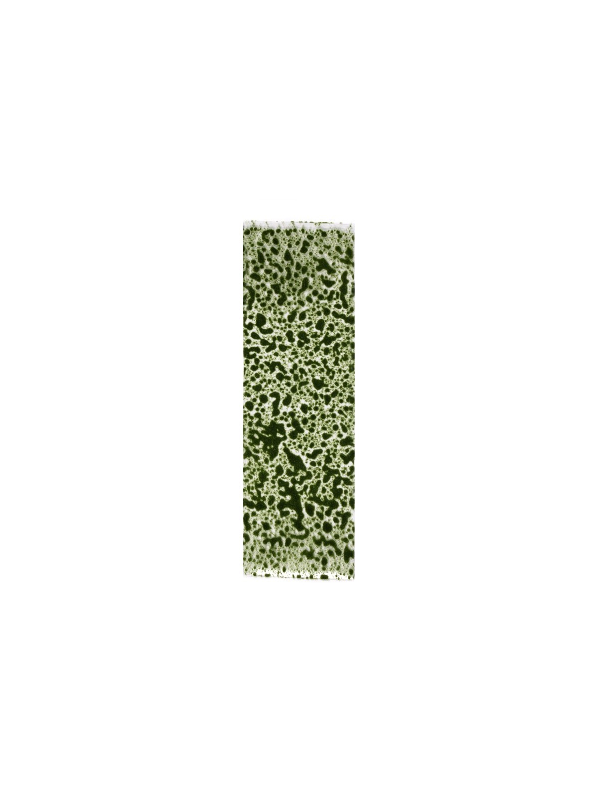 Musgo Verde Oscuro Realista (AK8131)