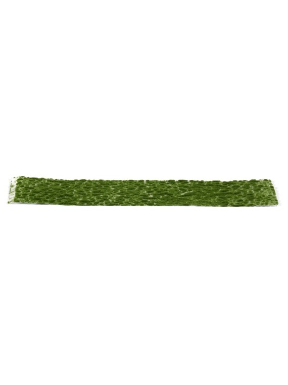 Musgo Verde Oscuro Realista (AK8131)