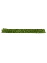 Musgo Verde Oscuro Realista (AK8131)