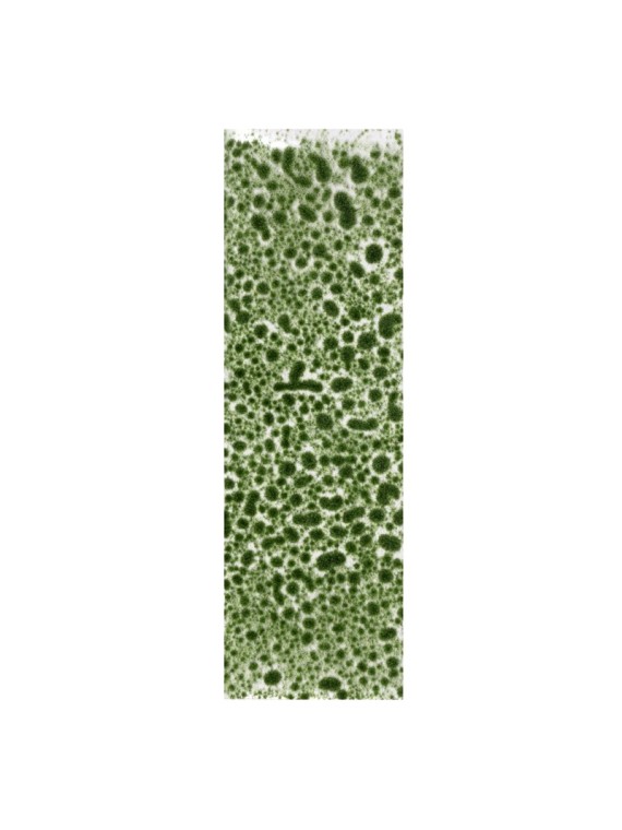 Musgo Verde Realista (AK8132)