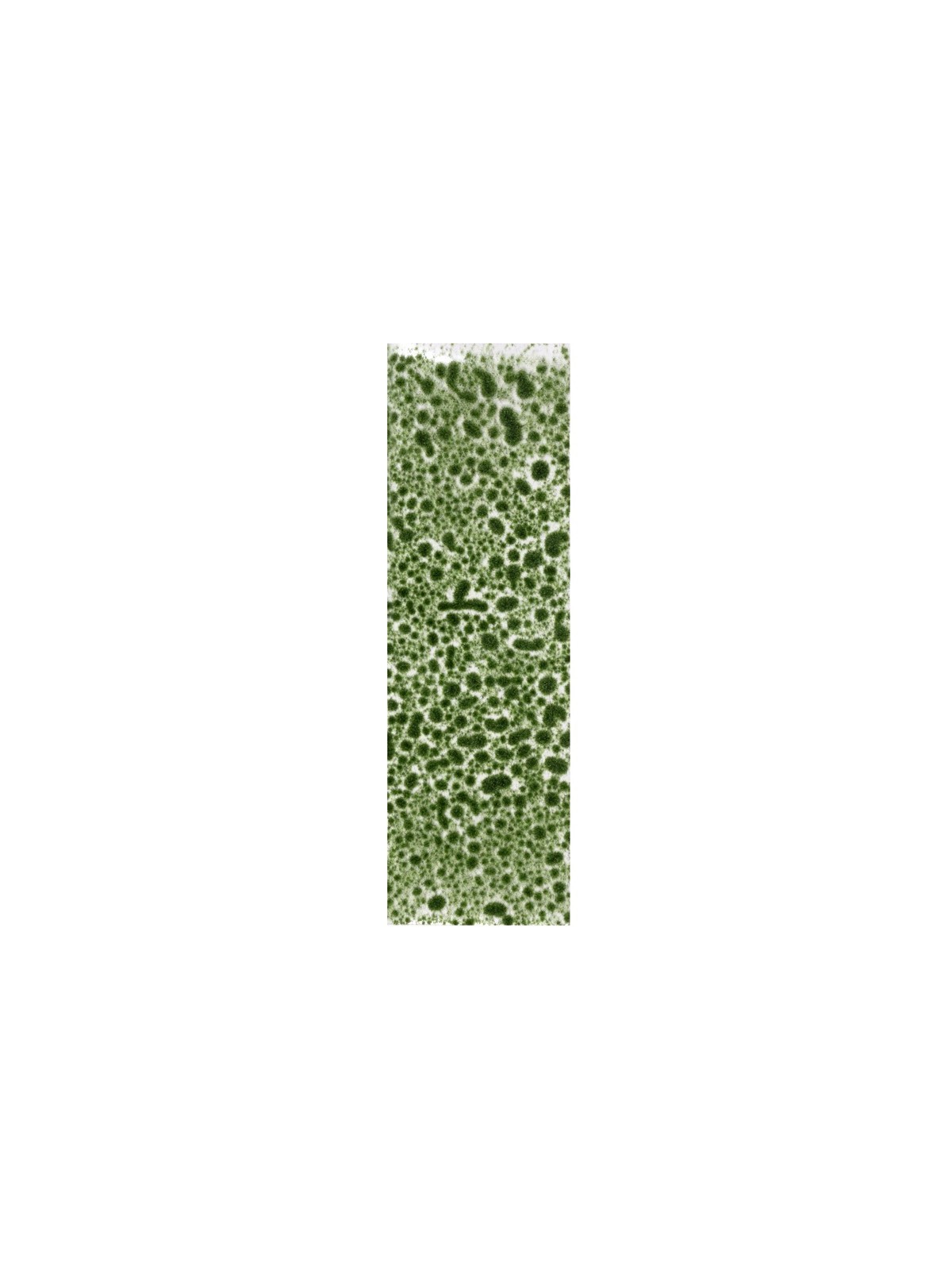 Musgo Verde Realista (AK8132)