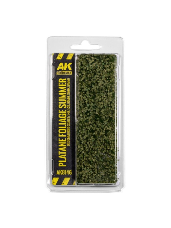 Plátano Follaje Verano (AK8146)