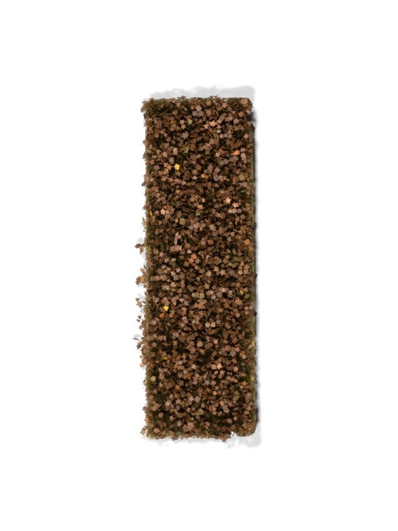 Follaje de Castaño Otoño Tardío (AK8235)