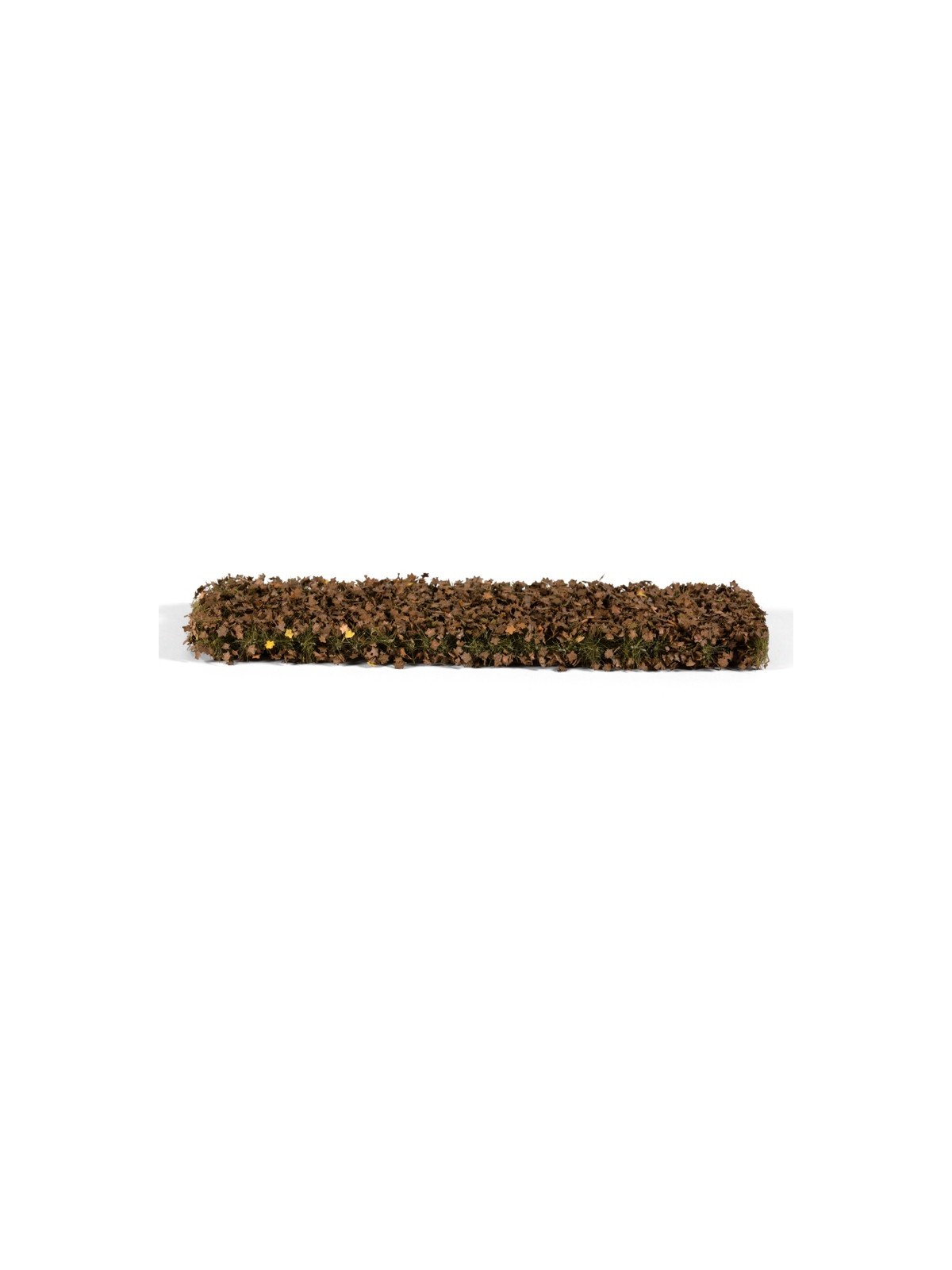 Follaje de Castaño Otoño Tardío (AK8235)