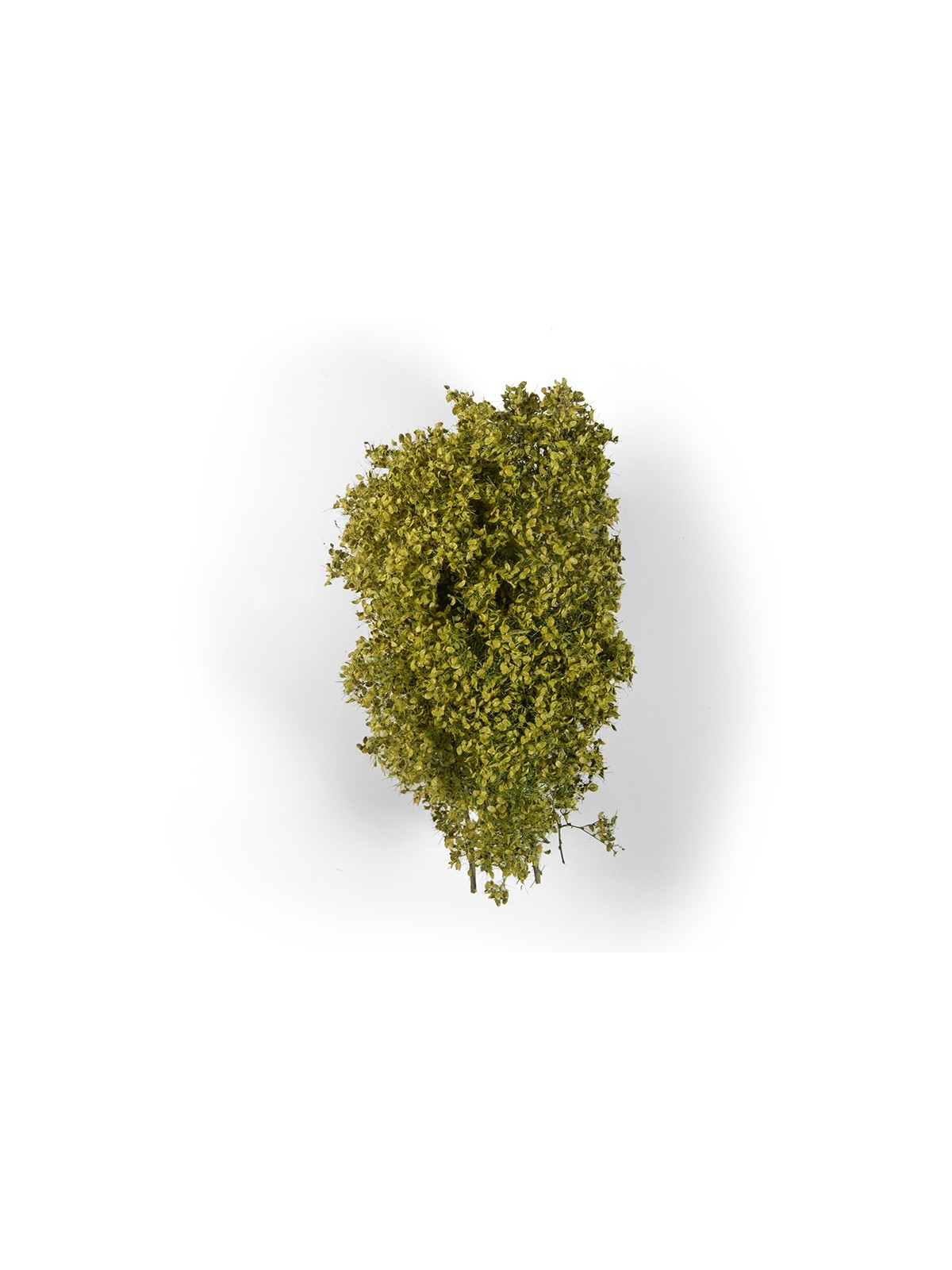 Arbustos Filigrana Primavera (AK8236)
