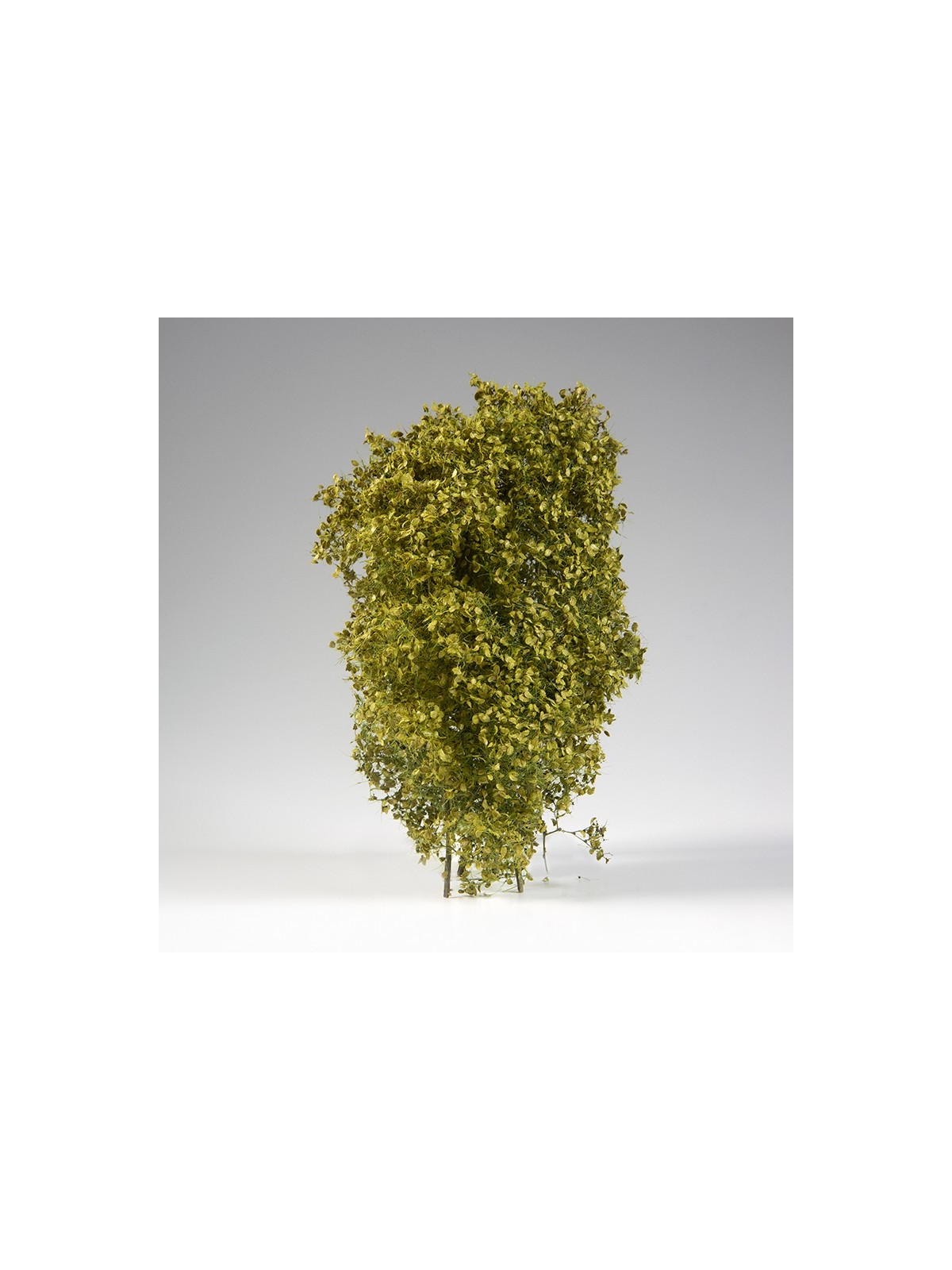 Arbustos Filigrana Primavera (AK8236)