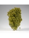 Arbustos Filigrana Primavera (AK8236)