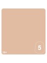 Warhammer Tone Pro: Celestine Skin 5 (20-095)
