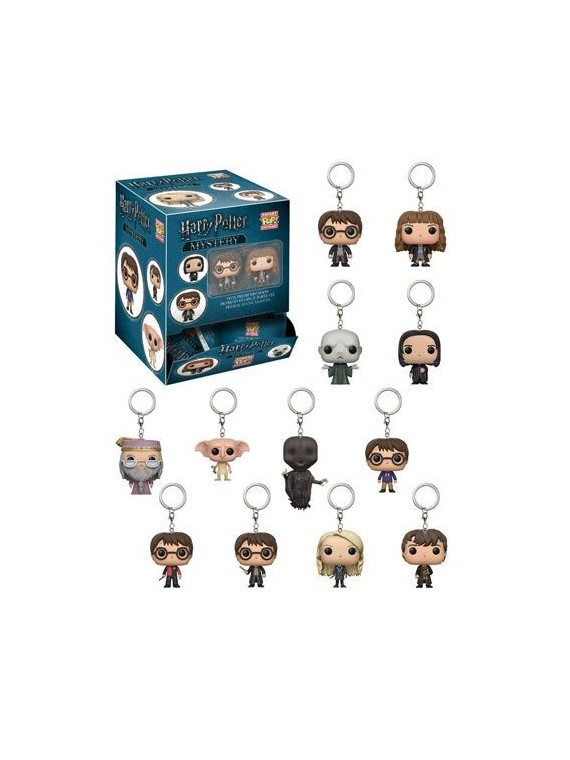 Pocket POP! Harry Potter Mystery 4cm
