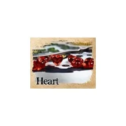 Compra Juego de 10 Tokens de Corazones de Mayday al mejor precio (2,91