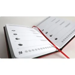 Compra Lands of Galzyr: Diario de Aventuras de Two Tomatoes al mejor p