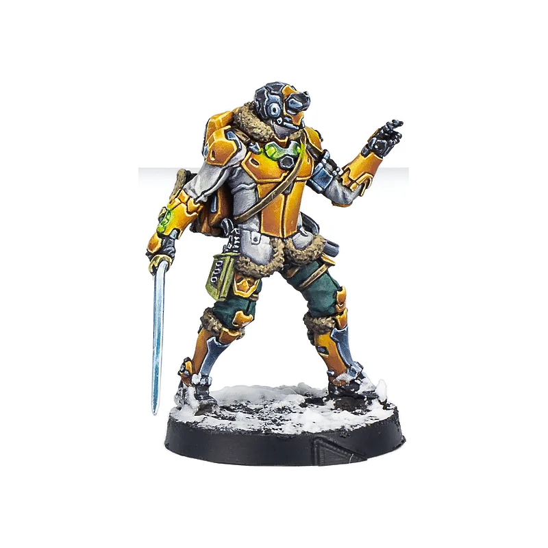 Comprar Infinity: Ye Mao Infantry (Hacker) barato al mejor precio 11,6